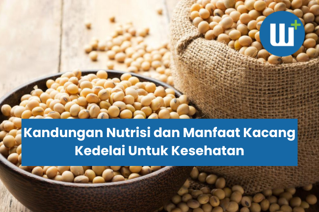 Kandungan Nutrisi dan Manfaat Kacang Kedelai Untuk Kesehatan